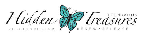 hidden-treasures-foundation